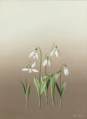 Lot 292 - Paul Osborne Jones (1921-1997) Study of...