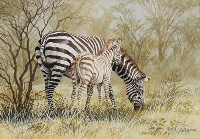 Lot 408 - J. Dawson (20th century) A zebra and foal...