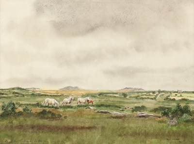 Lot 335 - Sam Wilmot (20th century) Ponies grazing in...