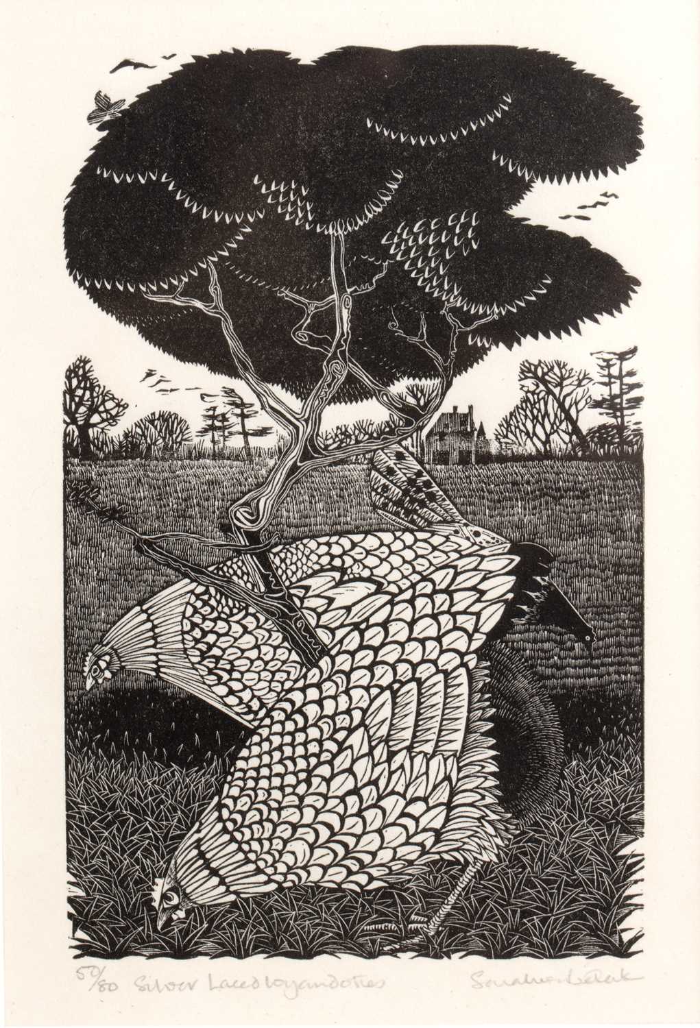 Lot 68 - Sarah van Niekirk (1934-2018) 'Silver Laced...