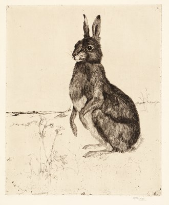 Lot 76 - Margaret M. Rudge (1885-1972) 'Hare', pencil...