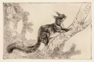 Lot 76 - Margaret M. Rudge (1885-1972) 'Hare', pencil...