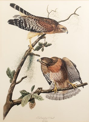 Lot 196 - After John James Audubon (Haitian-born, French-...