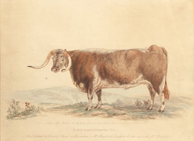 Lot 83 - George Garrard 'A Fat Long Horned Ox', etching,...