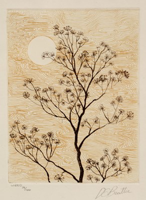 Lot 162 - David Beattie (b.1955) 'Weed', etching and...