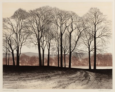 Lot 161 - Kathleen Caddick (b.1937) 'Edge of the lake',...