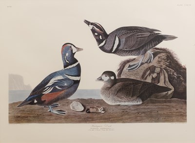 Lot 197 - After John James Audubon (Haitian-born, French-...