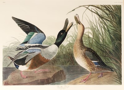Lot 195 - After John James Audubon (Haitian-born, French-...
