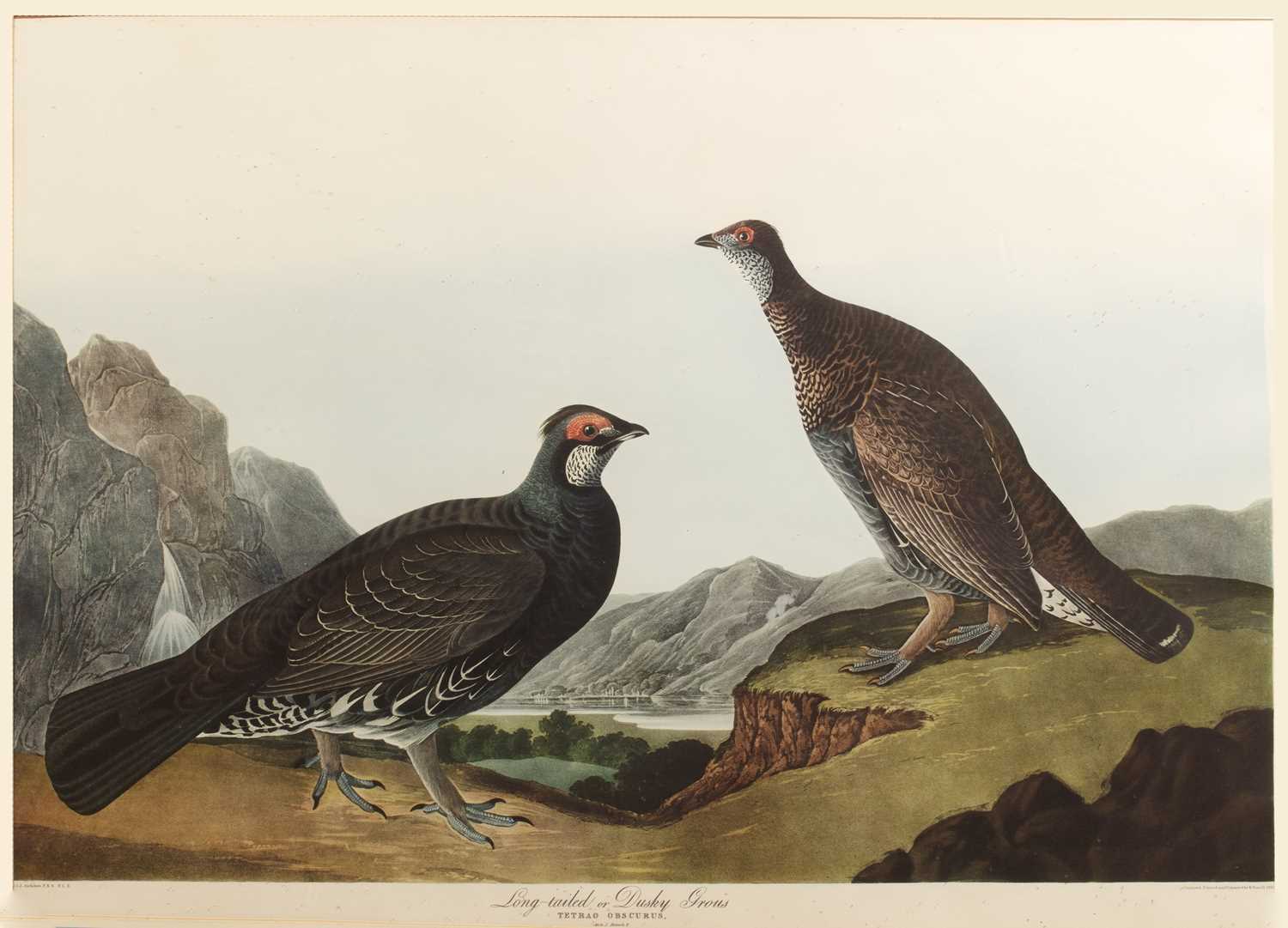 Lot 194 - After John James Audubon (Haitian-born, French-...