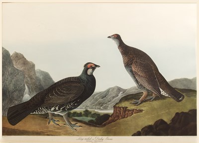Lot 194 - After John James Audubon (Haitian-born, French-...