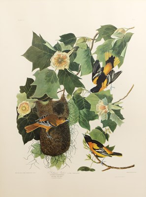Lot 193 - After John James Audubon (Haitian-born, French-...