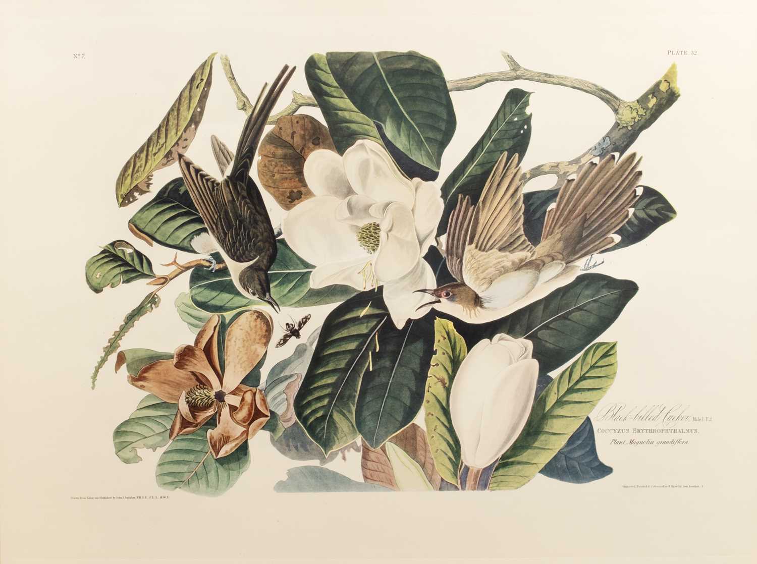 Lot 192 - After John James Audubon (Haitian-born, French-...