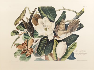 Lot 192 - After John James Audubon (Haitian-born, French-...