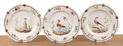 Lot 266 - Set of three ornithological painted plates...