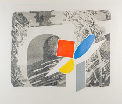 Lot 280 - William Tillyer (British 1938-)