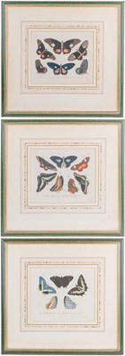 Lot 398 - A collection of butterfly prints