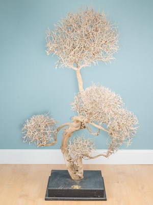 Lot 123 - Two white-painted display trees
