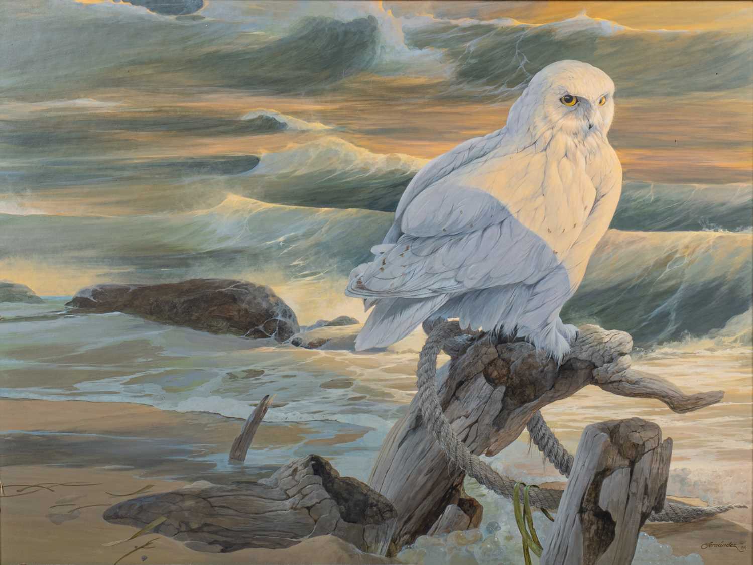 Lot Mario Fernandez (1946-2012)