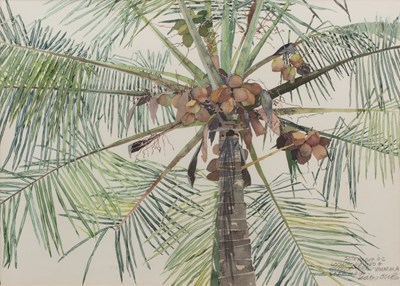 Lot 25 - Katy Ellis (Contemporary) Looking Up Into a...