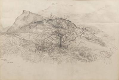 Lot 106 - Betty Rea (20th Century School) Tree in...