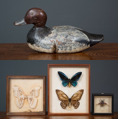 Lot 471 - A vintage carved wooden duck decoy, 30cm long...