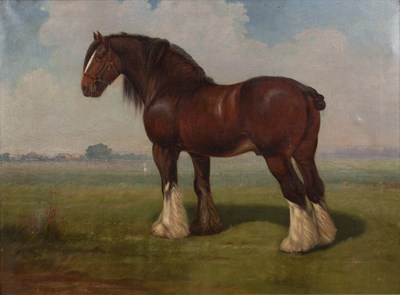 Lot 101 - John Charlton (1849-1917) study of a horse,...