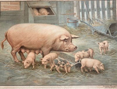 Lot 145 - A collection of 20th century animal pictures...