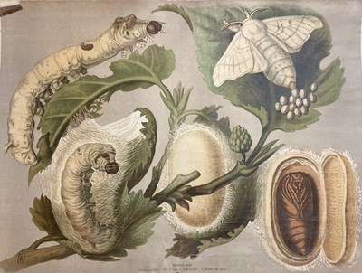 Lot 145 - A collection of 20th century animal pictures...