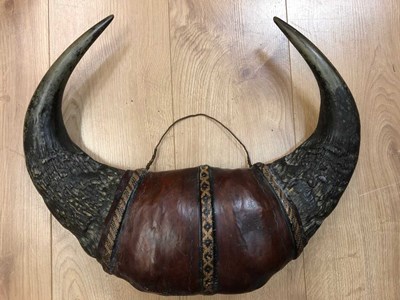 Lot 185 - Mounted buffalo horns from Cameroon bound in...