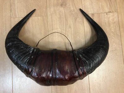 Lot 185 - Mounted buffalo horns from Cameroon bound in...