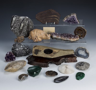 Lot 363 - Collection of specimens to include fossils,...