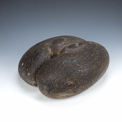 Lot 365 - Coco de Mer nut (Lodoicea Maldivica), 36cm x 29cm