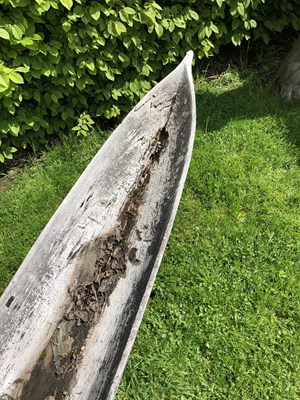 Lot 685 - An antique dugout canoe, with two paddles,...