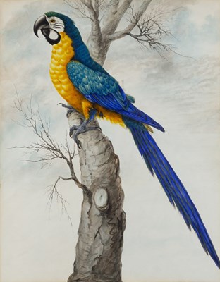 Lot 60 - Sarah Stone (c. 1760 - 1844) Blue and yellow...