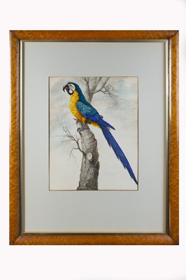 Lot 60 - Sarah Stone (c. 1760 - 1844) Blue and yellow...