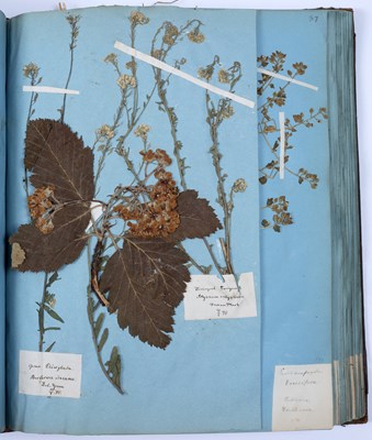 Lot 692 - A rare 19th century Danish Herbarium arranged...