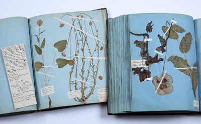 Lot 692 - A rare 19th century Danish Herbarium arranged...