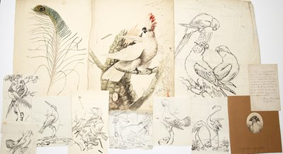 Lot 68 - Sarah Stone (c.1760-1844) Cockatoo,...