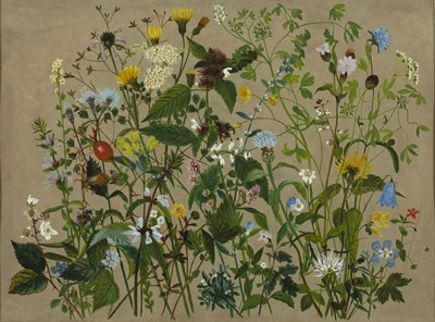 Lot 38 - 19th century English school 'Forty Wild...
