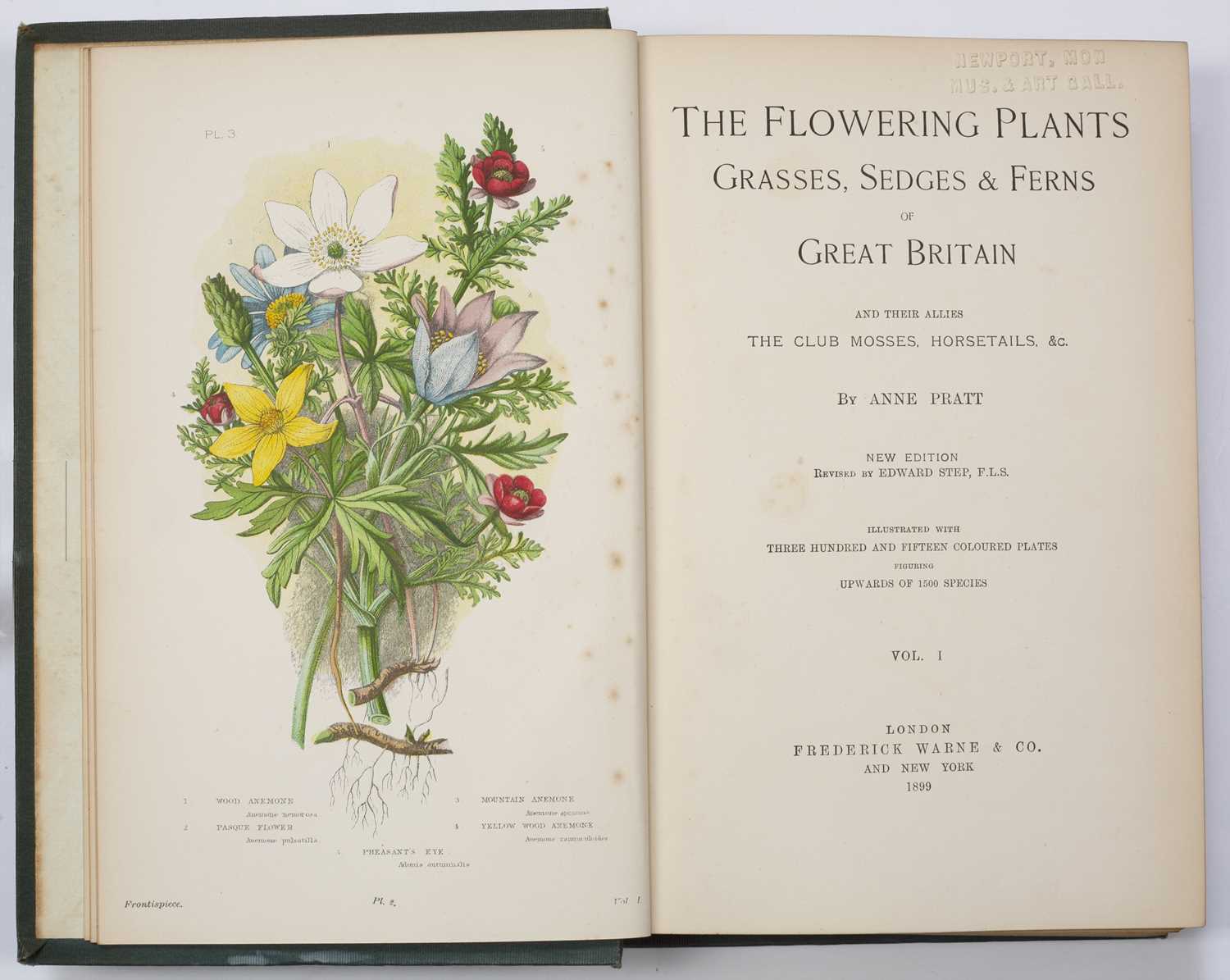 Lot 706 - Pratt (Anne), Flowering Plants, Grasses,...