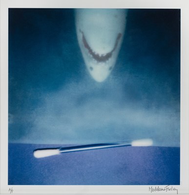 Lot 243 - Madeleine Farley (Contemporary) 'Jaws, Q-Tip',...