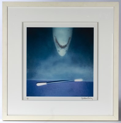 Lot 243 - Madeleine Farley (Contemporary) 'Jaws, Q-Tip',...