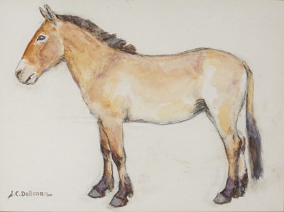 Lot 490 - John Charles Dollman (1851-1934) Study of a...