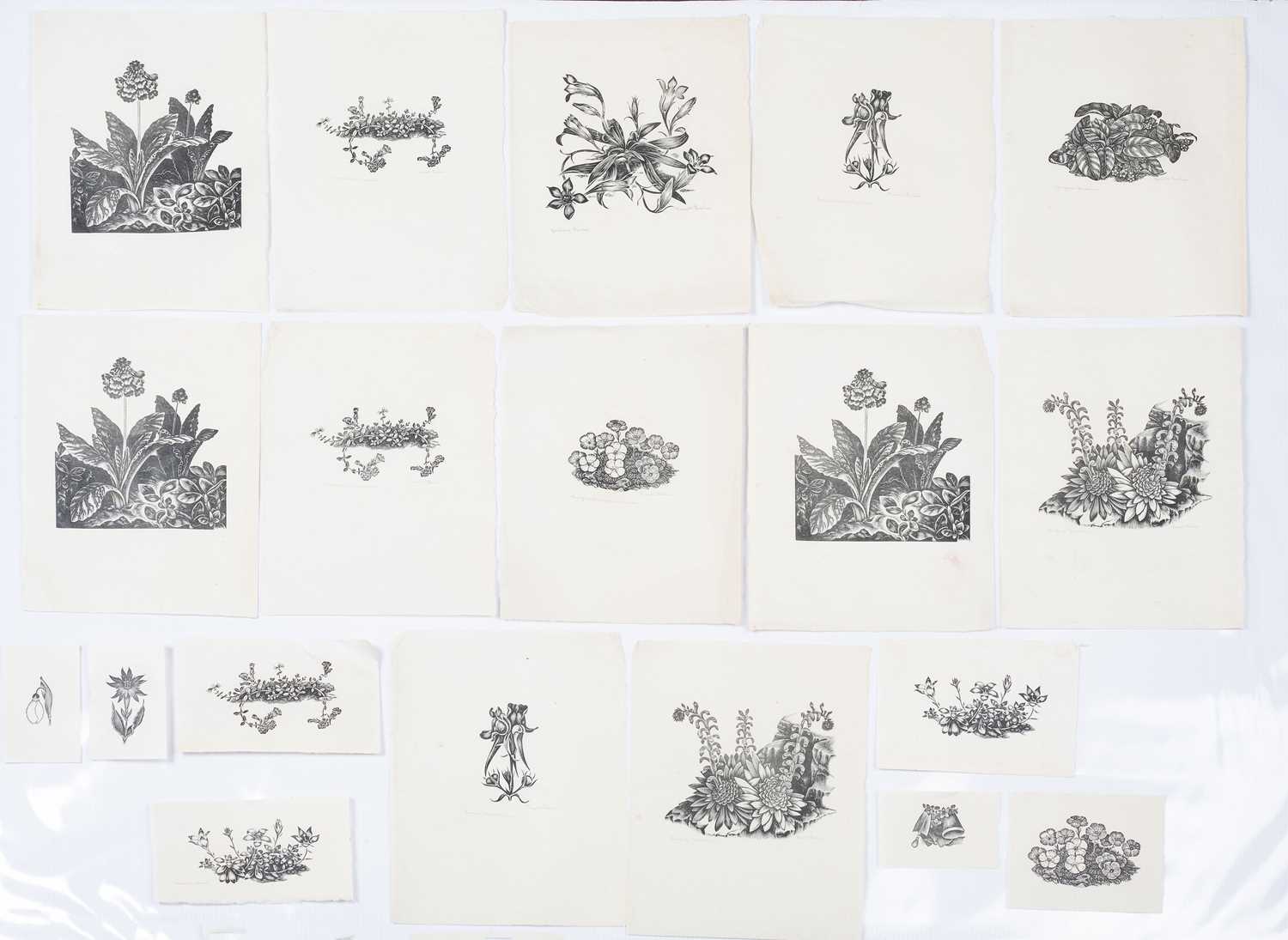 Lot 37 - Russell Leslie (20th Century) Nineteen wood...