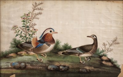Lot 315 - 19th century Chinese school A mandarin duck...