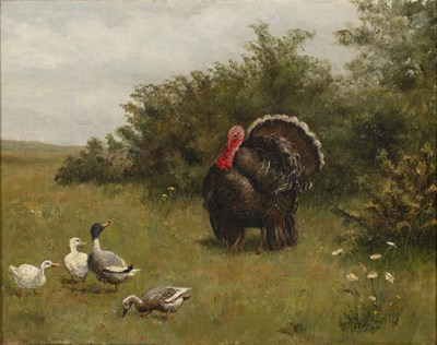 Lot 317 - 19th century English school Turkey and ducks...