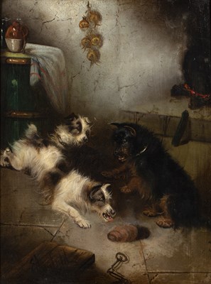 Lot 300 - Edward Armfield (1817-1896) Terriers ratting...