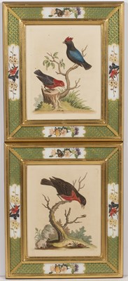 Lot 333 - A pair of decorative hand coloured...