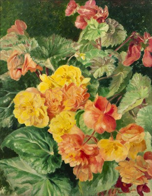 Lot 423 - Leonard Daniel Philpot (1877-1976) Begonias,...