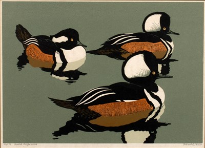 Lot 139 - Robert Gillmor (b.1936) 'Hooded Mergansers'...